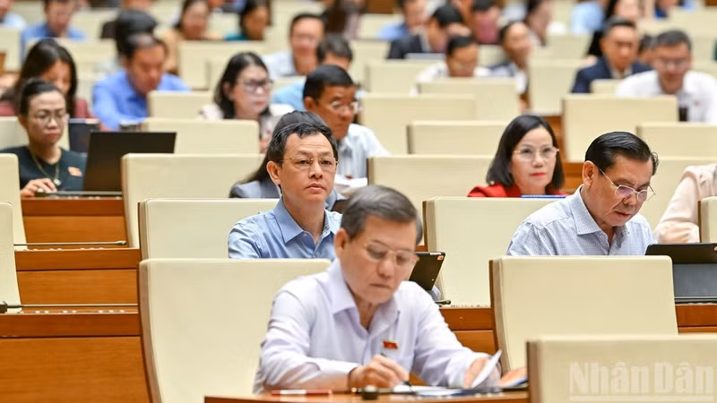 国会第十次会议对环境保护法执行情况进行监督。