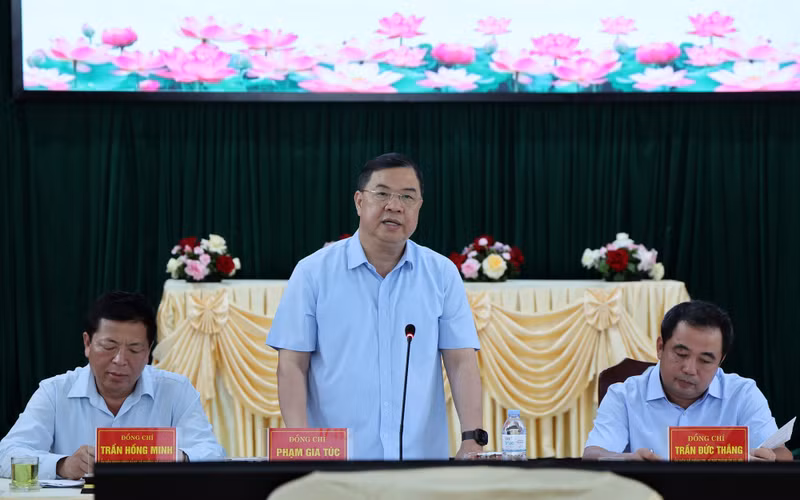 越南政府常务副总理范嘉足发表讲话。（图片来源：VGP）