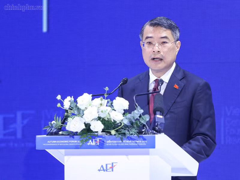 越南政府总理黎明兴发表讲话。（图片来源：VGP）