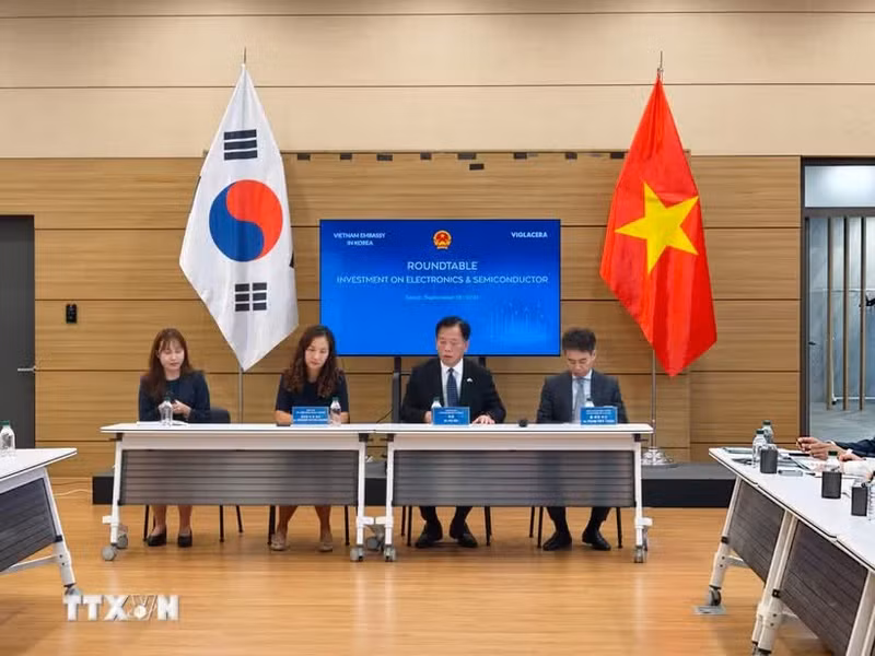 越南驻韩国大使武胡（右二）主持座谈会。（图片来源：越通社）