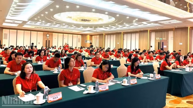 与会代表。
