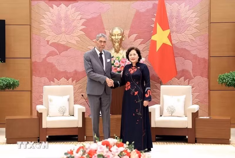 越共中央委员、国会副主席阮氏红会见多米尼加共和国统一左翼运动党总书记米格尔·梅希亚。（图片来源：越通社）