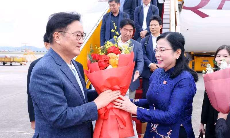 越南国会科学技术与环境委员会主任、越南—韩国友好议员小组主席阮青海到机场迎接韩国国会议长。（图片来源：越通社）