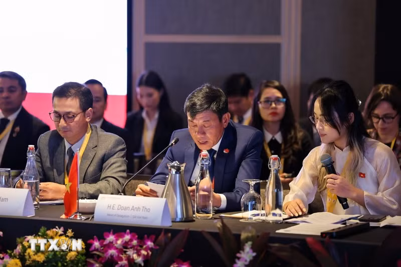 越南国家审计署副审计长尹英诗率团出席东盟最高审计机关组织第八次大会。（图片来源：越通社）