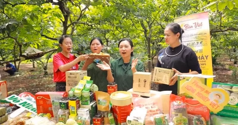 数字服务行业的增长速度远超传统商品贸易。