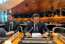 越南常驻WTO代表团团长梅潘勇大使在会上发表讲话。（图片来源：越通社）