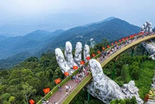 岘港市美景。（图片来源：越通社）