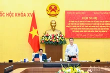 越共中央政治局第2090工作组和第2091工作组与国会党委常务委员会和政府党委常务委员会开展工作【组图】