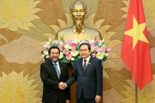 越南国会主席陈青敏会见印度尼西亚地方代表理事会副主席。