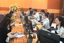 截至2025年7月底，国家预算总收入预计达1572.3万亿越盾。