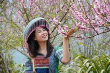 春满山坡：莱州新水湖社区旅游村迎来桃花盛景【组图】