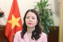 越南外交部副部长阮明姮。