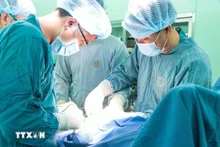越南医疗旅游因胎儿宫内心脏手术成功迎来积极信号 。（图片来源：越通社）