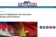 截面图。