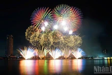 越南的Z121 Vina Pyrotech队的烟花表演。