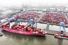 附图。（图片来源：越通社）