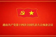 越南共产党第十四次全国代表大会预备会议【图表新闻】