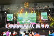 2025年“首都妇女——融合与发展”奥黛表演【组图】