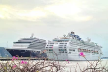 下龙国际客运港可同时接待两艘总吨位超过20万吨的邮轮。