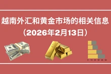 越南外汇和黄金市场的相关信息【图表新闻】