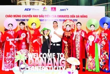 岘港市继续推动开通直飞印度、中东国家和独联体旅游市场的航线。