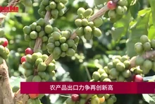 农产品出口力争再创新高【视频】