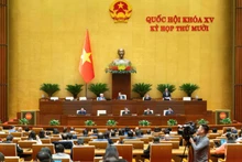 12月1日上午的讨论会场景。