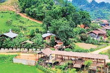 谅山省友莲乡旅游村全景。