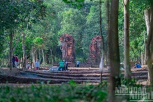探访美山圣地新发现的“圣道”【组图】