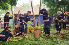 波来古市邑村已成为与嘉莱族文化保护相结合的社区旅游示范村。