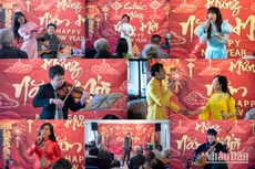 “春天的色彩”艺术活动在法国推广越南文化。