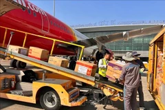 海防市吉碑国际机场“零费用”运送救灾物资至洪灾地区。