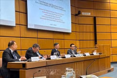 武黎泰黄大使（右一）和各位代表出席研讨会。（图片来源：越通社）