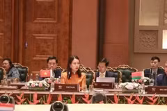 越南外交部副部长阮明姮在会议上发表讲话。