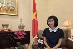 越南常驻东盟代表团团长孙氏玉香大使。（图片来源：越通社）