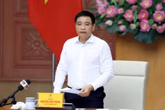 越南政府副总理阮文胜主持会议。（图片来源：baochinhphu.vn）