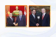 加强越南与柬埔寨的传统友好、全面合作关系