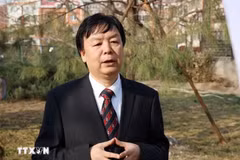 北京外国语大学东南亚研究中心主任米良教授。（图片来源：越通社）