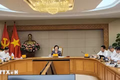越南政府副总理范氏清茶主持会议。（图片来源：越通社）