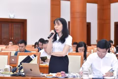 外国投资局副局长阮氏香在会议上发表讲话。 （图片来源：bnews.vn）