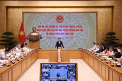 陈红河副总理主持会议。（图片来源：baochinhphu.vn）