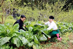 附图：国家目标计划资金帮助宣光省人民稳定生活。（图片来源：thoibaotaichinhvietnam.vn）