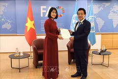 阮芳英大使向粮农组织总干事递交委任书，正式履新越南常驻联合国粮农组织代表。（图片来源：越通社）