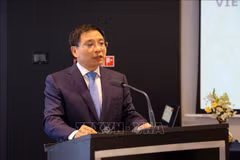越南政府副总理阮文胜在座谈会上发表讲话。（图片来源：越通社）