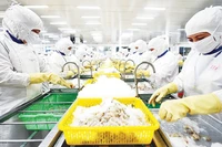 多家纺织和水产生产企业开始应用区块链技术来证明产品的原产地及其环保生产流程。（英俊 摄）