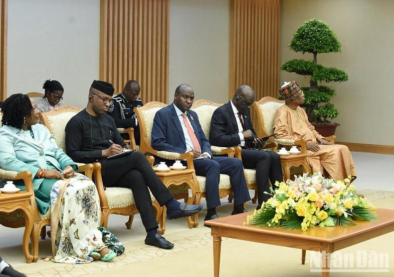 陪同尼日利亚副总统耶米代表团成员。