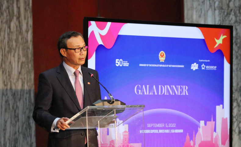 越南驻丹麦大使梁青毅发表讲话。（图片来源：越通社）