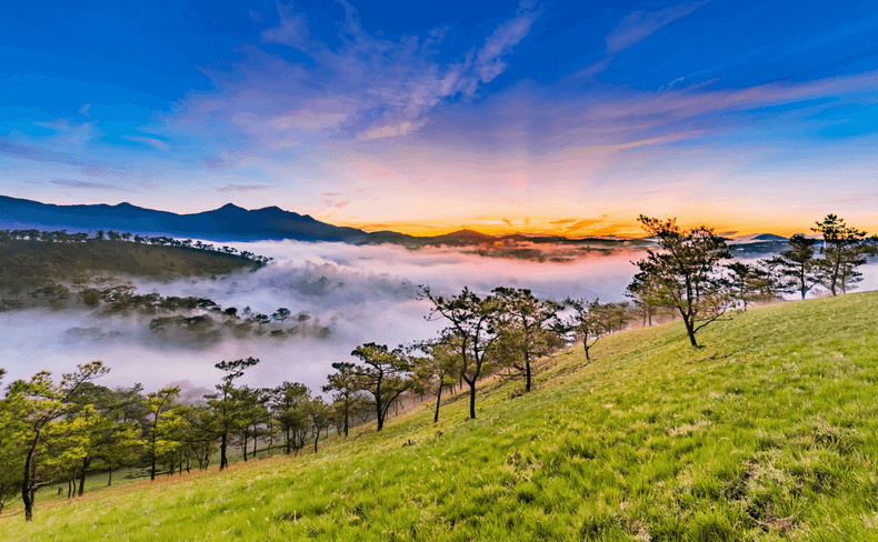 大叻是越南一个受欢迎的旅游目的地。 大叻是越南一个受欢迎的旅游目的地。