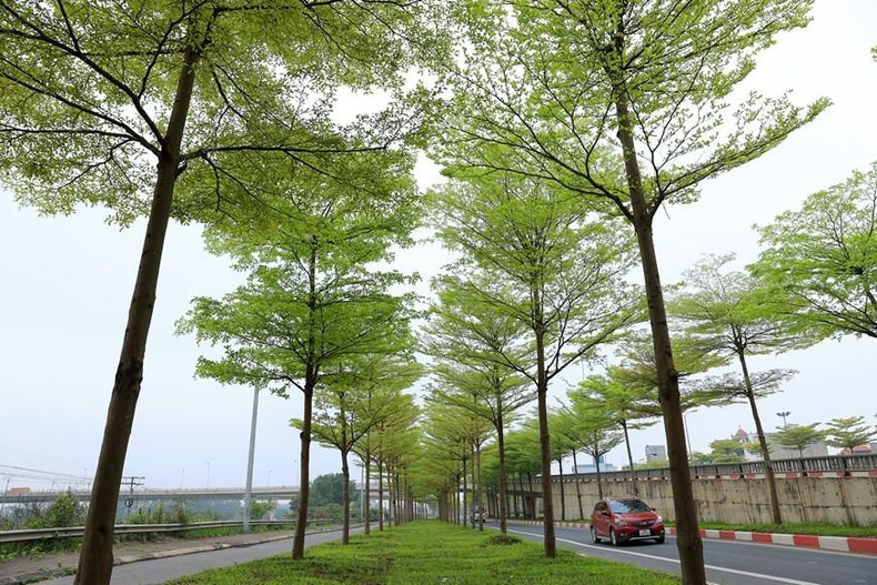 “新活力”图片集中的一个作品。