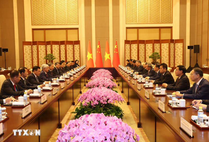 越共中央总书记、国家主席苏林会见中国国务院总理李强。（图片来源：越通社）